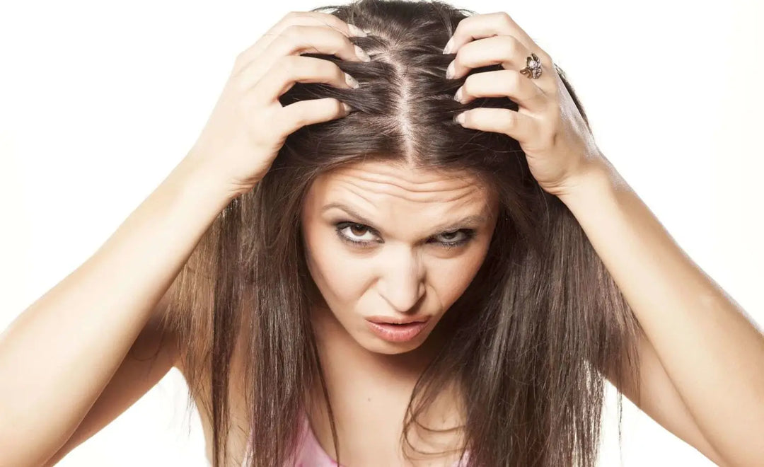 أسباب تجعل شعرك يتوقف عن النمو